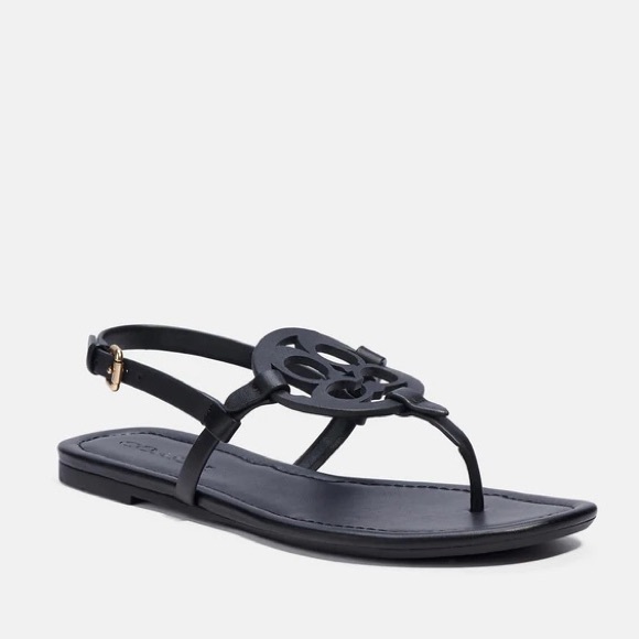 Coach Shoes - Coach Jaci Sandals